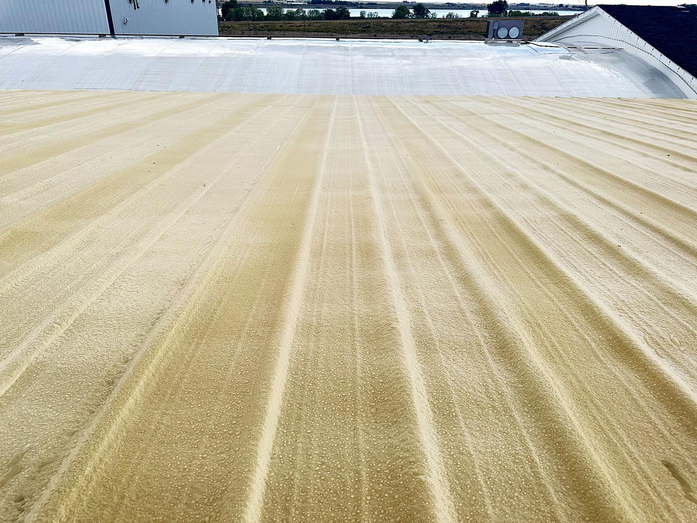 Freshly coated ribbed metal roof